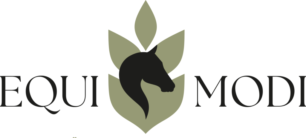 Logo EQUIMODI