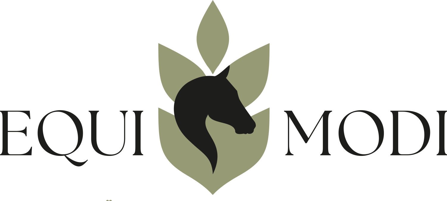 Logo EQUIMODI